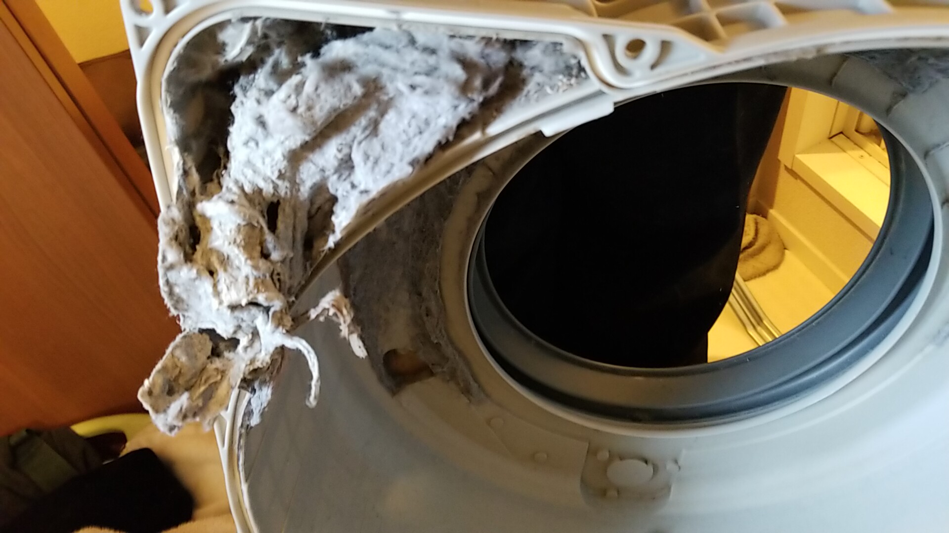 一宮市Panasonicドラム洗濯機乾燥循環清掃